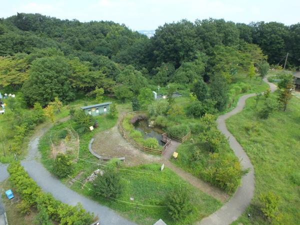 No.28 探してみよう!ビオトープの生きものたち