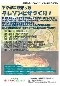 アクポニで育ったクレソンピザづくり！